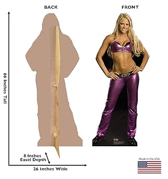 輸入盤WWF wwe 女子プロレスラーDVD 格闘技 プロレス 14本 61gYhD+aGFL._UF350,350_QL80_.jpg